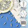 60Pcs 6 Styles 201/304 Stainless Steel Pendants STAS-CJ0002-93-3