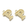 Alloy Pendants PALLOY-N157-002P-NR-2