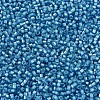 MIYUKI Delica Beads SEED-X0054-DB1709-3