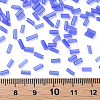 Transparent Glass Bugle Beads SEED-N005-001-C03-4