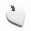 Tarnish Resistant 304 Stainless Steel Pendants STAS-F214-02P-1