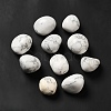 Natural Howlite Beads G-G979-A04-1