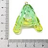 Resin Pendant FIND-Q107-01A-03-3