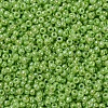 MIYUKI Round Rocailles Beads X-SEED-G007-RR0479-3