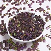 MIYUKI TILA Beads SEED-MY05-TL301-2