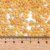Glass Seed Beads SEED-XCP0001-33-4