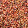 MIYUKI Delica Beads SEED-MY11-DB2063-3