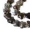Natural Labradorite Beads Strands G-N371-10A-01-4