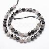 Natural Black Rutilated Quartz Bead Strands G-P217-32-8mm-2