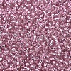 MIYUKI Round Rocailles Beads X-SEED-G007-RR1349-3