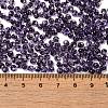 Transparent Colours Glass Seed Beads SEED-P006-02A-12-4