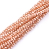 Electroplate Glass Beads Strands EGLA-F149-PL-02-2