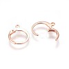 304 Stainless Steel Leverback Earring Findings X-STAS-E460-02RG-1