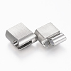 Tarnish Resistant 304 Stainless Steel Magnetic Clasps with Glue-in Ends STAS-F131-05P-2