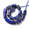 Natural Lapis Lazuli Beads Strands X-G-S345-8x11-002-2