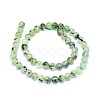 Natural Prehnite Beads Strands G-F602-01-8mm-2