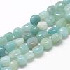 Natural Amazonite Beads Strands G-R445-8x10-21-1