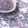 Glass Seed Beads SEED-H002-E-A1421-1