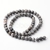 Frosted Round Natural Map Stone/Picasso Stone/Picasso Jasper Bead Strands G-J346-04-6mm-2