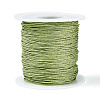100M Segment Dyed Round Polyester Braided Cords OCOR-N009-03B-06-1