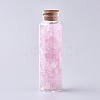 Glass Wishing Bottle DJEW-L013-A13-1