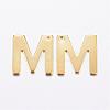 304 Stainless Steel Charms STAS-P141-M-2
