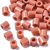 PE Fuse Beads X-DIY-R013-A42-1