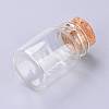 Glass Bottles LS-AJEW-H102-06A-2