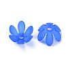 Transparent Acrylic Beads MACR-S373-47-D06-2