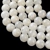 Natural Rainbow Moonstone Beads Strands G-D107-01A-4