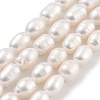Natural Cultured Freshwater Pearl Beads Strands PEAR-P062-08H-2