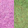 TOHO 11/0 Round Beads X-SEED-TR11-2724-5