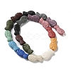 Fish Dyed Natural Lava Rock Beads Strands G-O126-01A-14-2