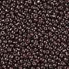 Baking Paint Glass Seed Beads SEED-S001-K18-2