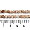 Dyed Natural Regalite/Imperial Jasper/Sea Sediment Jasper Beads Strands G-B124-C04-11-4