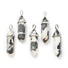 Natural Zebra Jasper Pointed Pendants G-M378-01P-A27-1