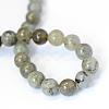 Natural Labradorite Round Bead Strands G-E334-10mm-19-3