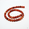 Natural Red Agate Bead Strands X-G-G880-05-8mm-3