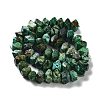 Natural African Turquoise(Jasper) Beads Strands G-D091-A18-3