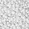 6/0 Glass Seed Beads SEED-A012-4mm-121-2