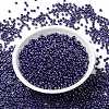 MIYUKI Round Rocailles Beads SEED-G008-RR0434-2