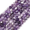 Natural Chevron Amethyst Beads Strands G-P428-04A-6mm-2
