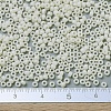 MIYUKI Round Rocailles Beads SEED-X0054-RR0491-4