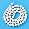 Rainbow Plated Shell Pearl Bead Strands BSHE-L025-02-8mm-2