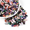 Baking Paint Glass Seed Beads SEED-N008-06-1