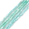Natural Freshwater Shell Dyed Beads Strands SHEL-M018-12-06-1