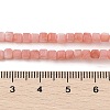 Natural Freshwater Shell Dyed Beads Strands SHEL-R100-11A-01-4
