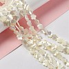 Natural White Shell Beads Strands SHEL-F003-07-3