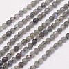 Faceted Round Natural Labradorite Bead Strands G-I156-03-4mm-1