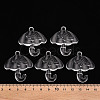 Transparent Acrylic Pendants TACR-T024-01B-205-4